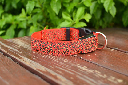 Leopard LED Dog Collar