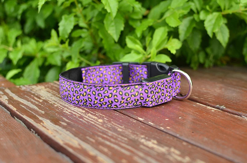 Leopard LED Dog Collar