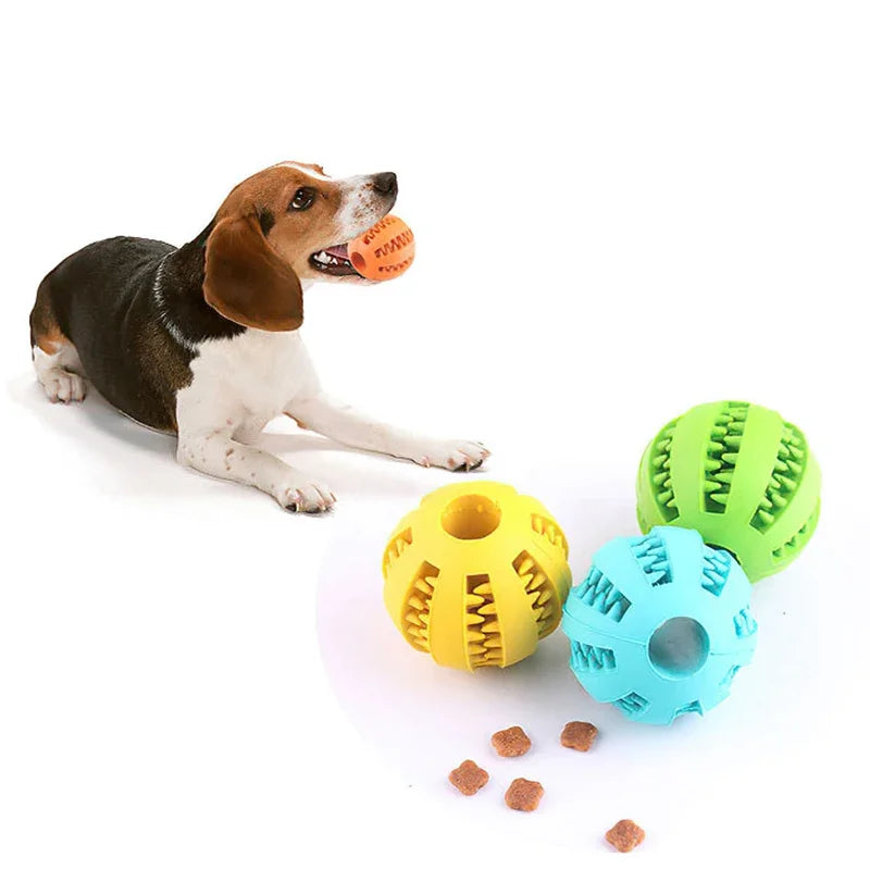 Interactive Rubber Treat Dog Toy