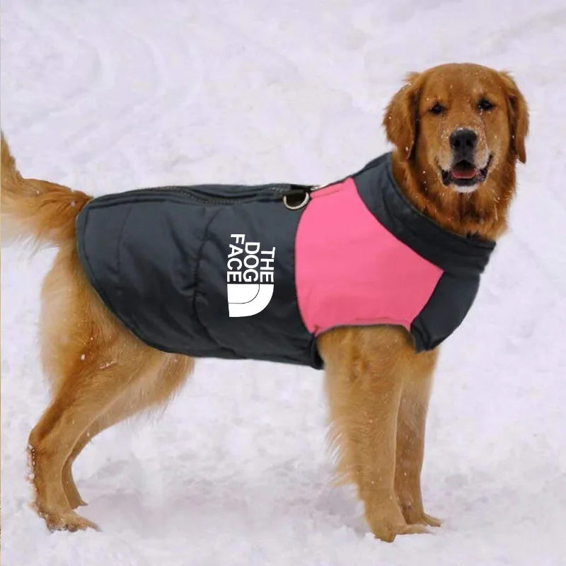 Waterproof Vest Padded Zipper Jacket for Dogs