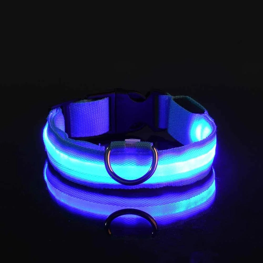 Dog Collar Nylon LED Night Safety