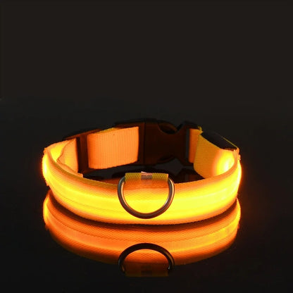 Dog Collar Nylon LED Night Safety