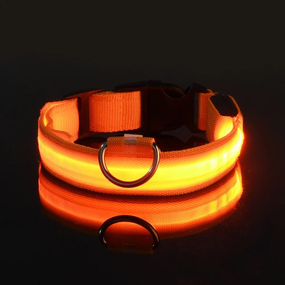 Dog Collar Nylon LED Night Safety