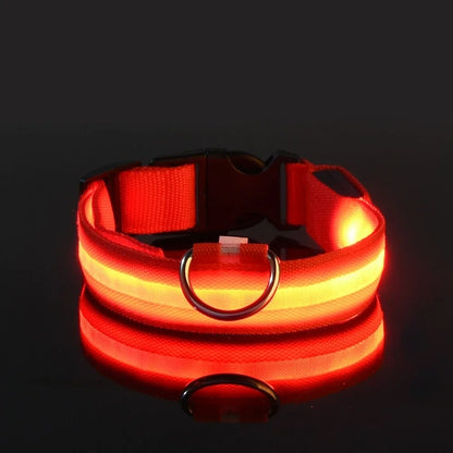 Dog Collar Nylon LED Night Safety