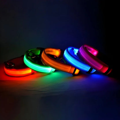 Dog Collar Nylon LED Night Safety