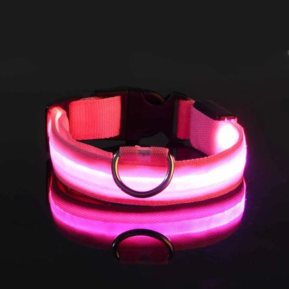 Dog Collar Nylon LED Night Safety