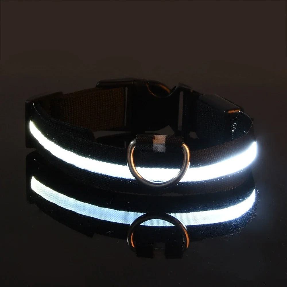 Dog Collar Nylon LED Night Safety