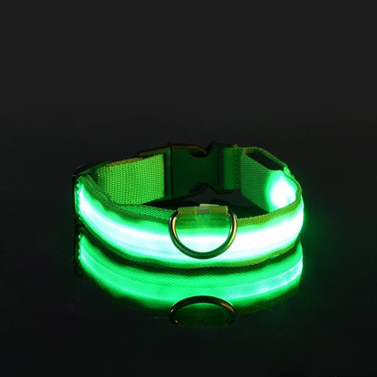 Dog Collar Nylon LED Night Safety